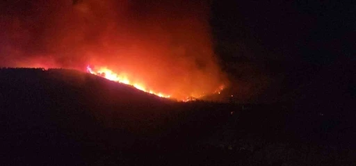 Hatay’da orman yangınının etkili olduğu bölgede evler tahliye ediliyor
