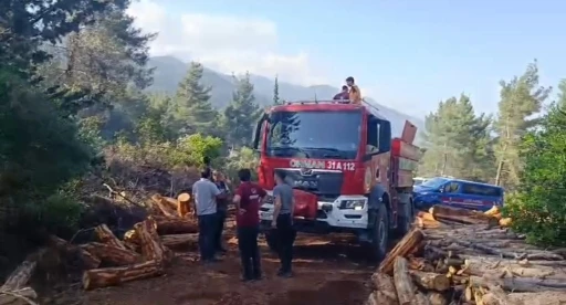 Hatay&rsquo;da ormanı yangını &ccedil;ıktı
