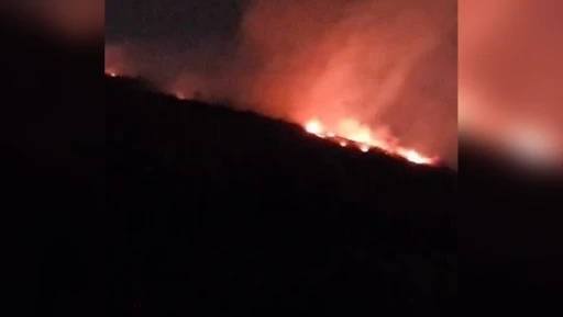 Hatay'da Orman Yangını Büyümeden Kontrol Altına Alındı