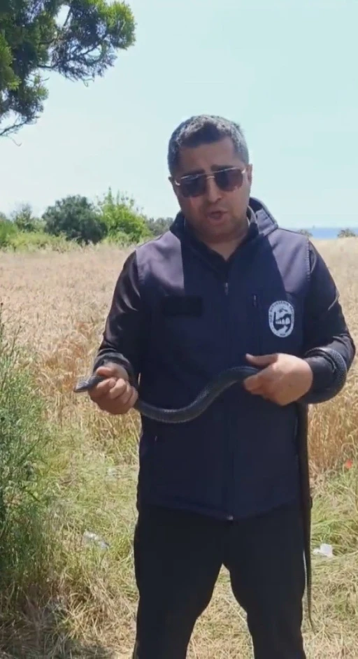 Hatay&rsquo;da yaşlı kadının evine giren yılanı yakalayan Yılancı Kemal &lsquo;Sevgili karayılan insanlardan uzak dur&rsquo; s&ouml;zleriyle doğaya saldı
