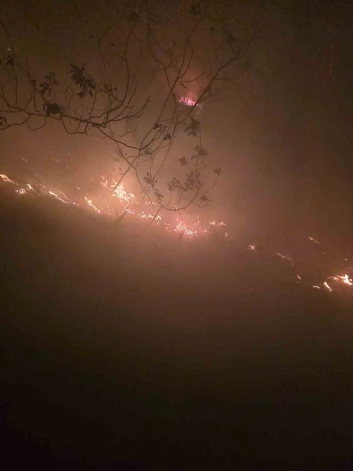 Hatay’da yıldırımın düştüğü ormanlık alanda yangın çıktı
