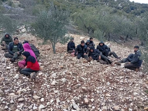 Hatay&rsquo;da zeytinlik alanda 30 d&uuml;zensiz g&ouml;&ccedil;men yakalandı
