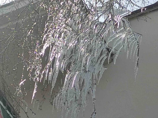 Hava sıcaklığı eksi 10&rsquo;a d&uuml;şt&uuml;, ağa&ccedil; dalları dondu

