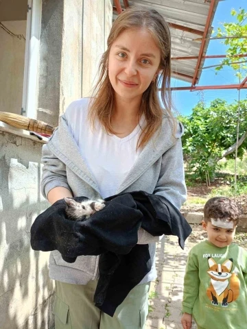 Havalandırma boşluğunda mahsur kalan yavru kedileri itfaiye kurtardı
