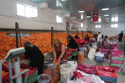 Havu&ccedil; &uuml;retiminin y&uuml;zde 67&rsquo;si Konya&rsquo;dan
