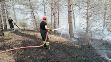 Havza Kılavuz Ormanı’nda korkutan yangın

