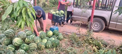 Hayırsever &ccedil;ift&ccedil;inin tarlası bu yıl &ouml;ğrencilerin i&ccedil;in hasat edildi
