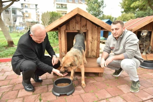 Hayırseverlerden 8 adet k&ouml;pek ve 50 adet kedi kul&uuml;besi
