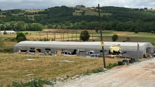Hayvan &ccedil;iftliğindeki yangında 5 kuzu telef oldu, bin balya k&uuml;le d&ouml;nd&uuml;
