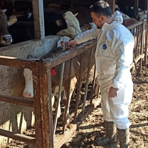 Hayvan sağlığı g&uuml;vence altına alınıyor
