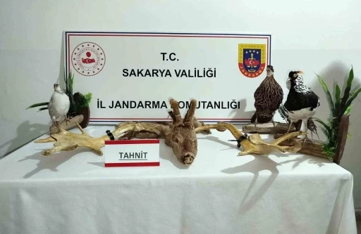 Hayvanat bahçesi gibi ev: Evinden çıkanlar hayrete düşürdü
