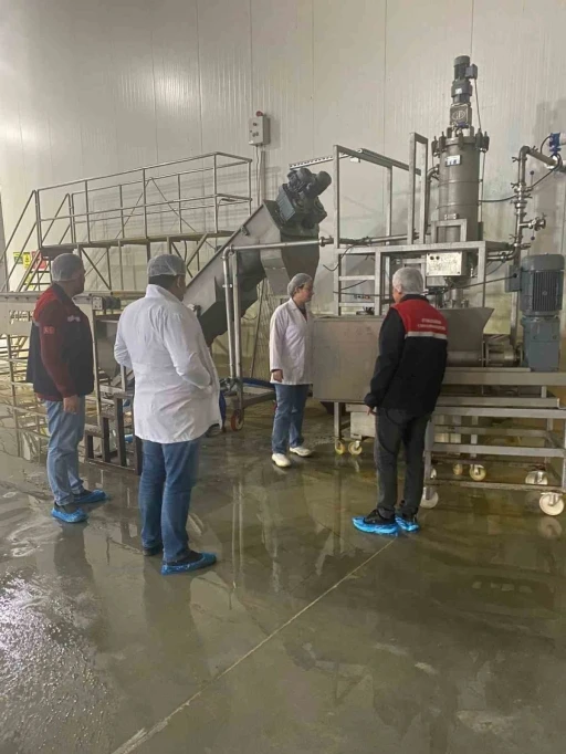 Hayvansal yem üreten işletmeye yönelik denetim
