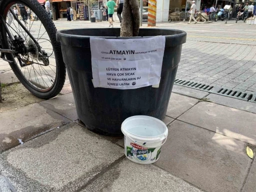 Hayvansever vatandaşın kibar uyarı yazısı görenleri gülümsetti
