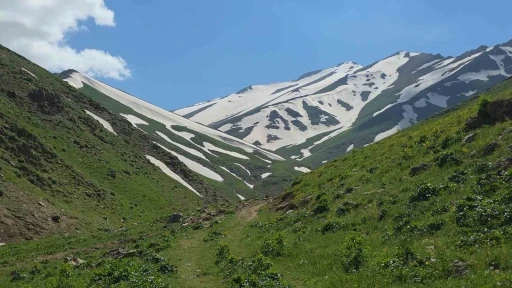 Haziran ayında karda kayıp kartopu oynadılar
