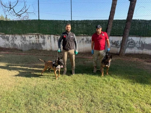 Hector ve Mailo, Batman’da uyuşturucu tacirlerinin korkulu rüyası oldu
