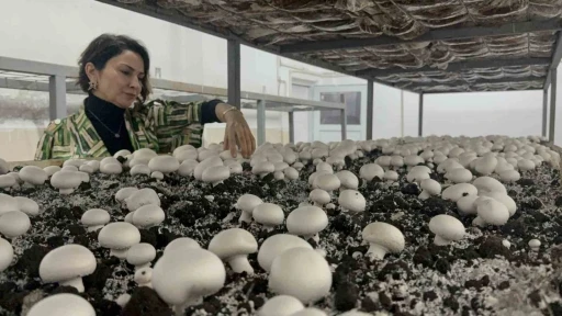 Hem eğitim g&ouml;r&uuml;p hem &uuml;retiyorlar
