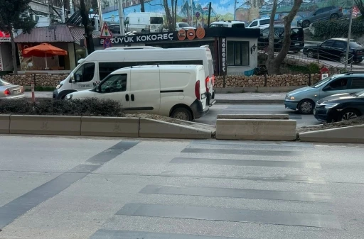 Hem yayaların hem de s&uuml;r&uuml;c&uuml;lerin tepkisine neden olan uygulama
