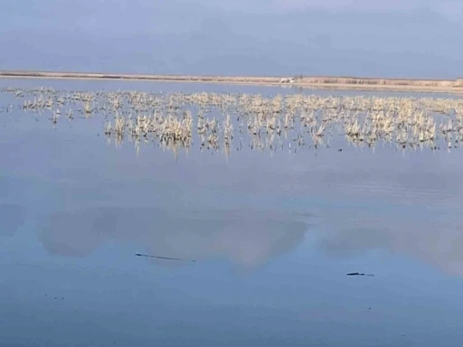 Her damlanın Eber G&ouml;l&uuml;&rsquo;ne ulaşması i&ccedil;in topyekun m&uuml;cadele
