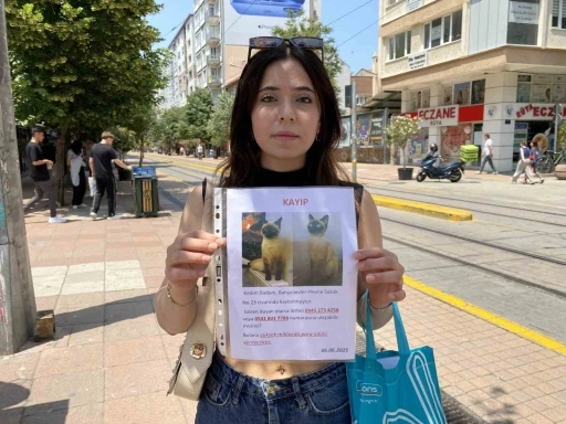 Herkes bayramı kutlarken o sokak sokak kayıp kedisini aradı
