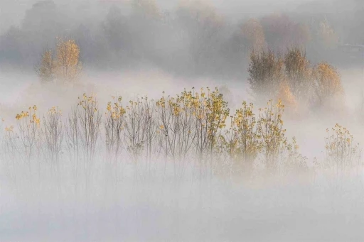 Hevsel’in sonbahar perdesi: Sisli bahçeler kartpostallık görüntüler oluşturdu
