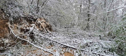 Heyelandan kapanan yol yeniden ulaşıma açıldı

