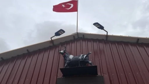 Heykeli ger&ccedil;ek sanıp ka&ccedil;tı: Tosunun şaşkınlığı sosyal medyada g&uuml;ndem oldu
