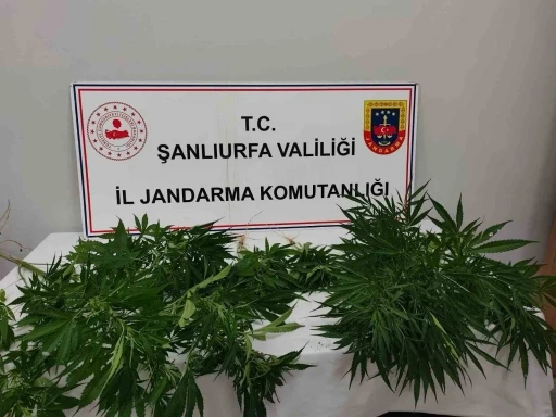 Hilvan&rsquo;da uyuşturucu ele ge&ccedil;irildi
