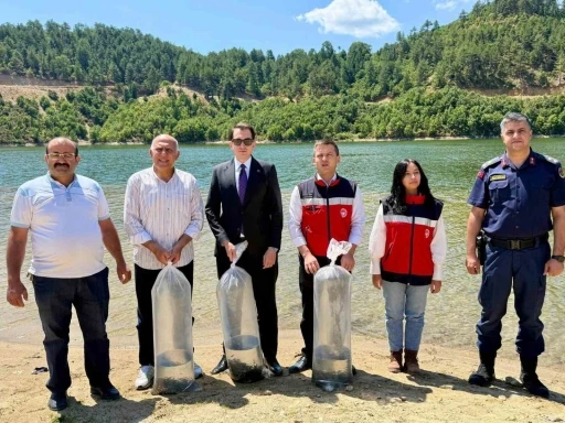 Hisarcık Hasanlar Barajı&rsquo;na 80 bin sazan yavrusu bırakıldı
