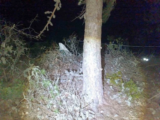 Hisarcık’ta ağaçtan düşen yaşlı adam hayatını kaybetti
