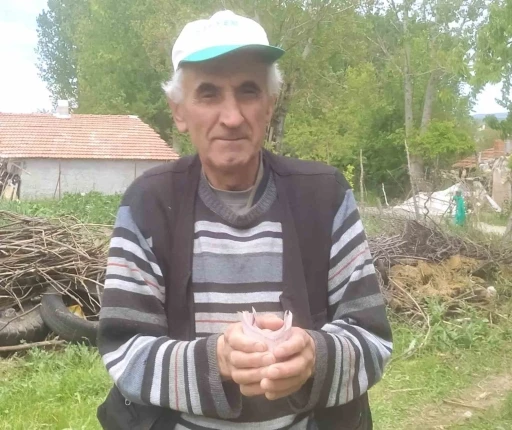 Hisarcık’ta emekli işçiden &quot;İnsanlık Ölmemiş&quot; dedirten davranış: Bulduğu bir tomar parayı jandarmaya teslim etti
