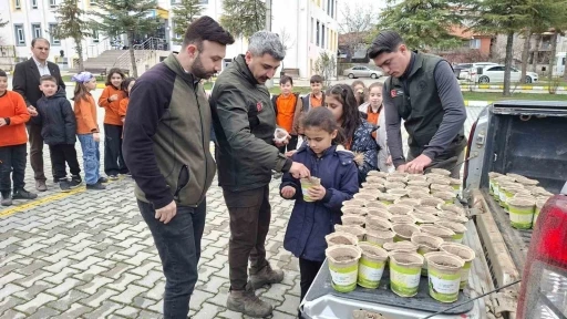 Hisarcık&rsquo;ta minikler saksılarda kara&ccedil;am fidanı yetiştirecek
