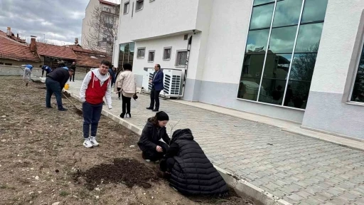 Hisarcık’ta öğrenciler fidan dikti
