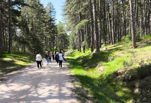 Hisarcık&rsquo;ta &ouml;zel &ouml;ğrencilerinde katıldığı doğa y&uuml;r&uuml;y&uuml;ş&uuml;
