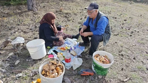 Hisarcık’ta yaşlı çiftin mantar mesaisi
