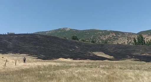 Hizan’da anız yangını, 40 dönüm arazi zarar gördü
