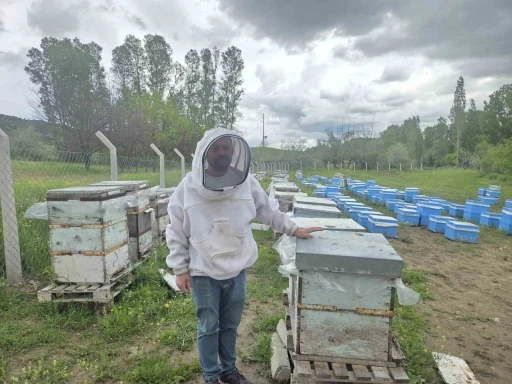 Hobi olarak 5 kovanla başladı, zamanla 250 kovana &ccedil;ıkardı
