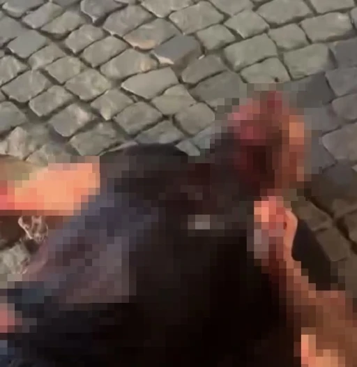 Husumetli olduğu akrabasının boğazını kesip kahvehanenin &ouml;n&uuml;ne attı
