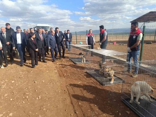 İçişleri Bakan Yardımcısı Aktaş’ın Şırnak temasları
