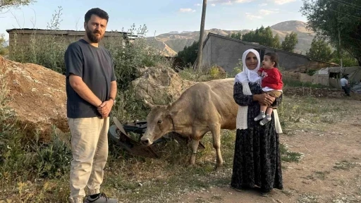 İhlas Haber Ajansı&rsquo;nın haberi Ayni teyzenin y&uuml;z&uuml;n&uuml; g&uuml;ld&uuml;rd&uuml;: İnekler kendisine ulaştı
