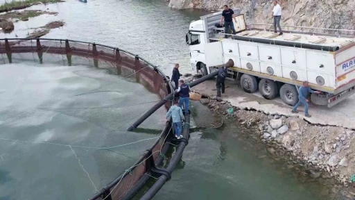 İhra&ccedil; edilecek &lsquo;T&uuml;rk somonları&rsquo; i&ccedil;in yavru balıklar suya bırakıldı
