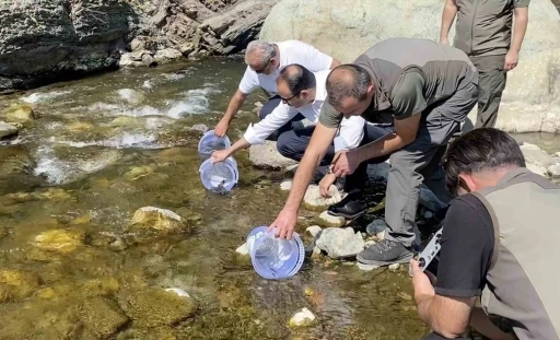 İki sel felaketinden etkilenen İlişi &Ccedil;ayı&rsquo;na 15 bin alabalık salındı
