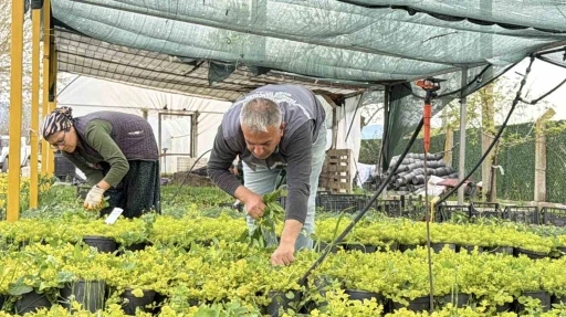 İklim değişikliği ve kuraklık nedeniyle su tasarruflu peyzaj d&ouml;nemi
