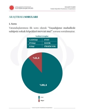 İletişim Başkanlığından sokak köpekleri kamuoyu araştırması
