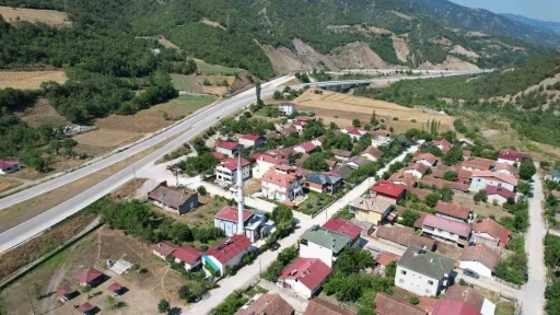 İmamın girişimiyle cami adeta çiçek serasına dönüştü
