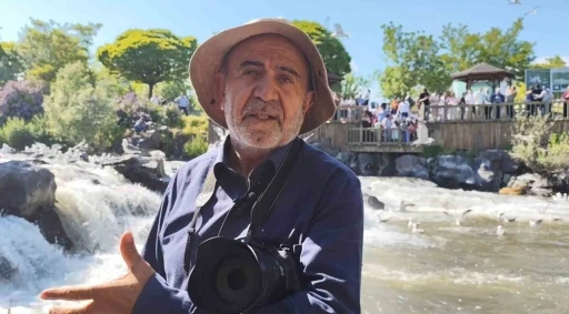 İnci kefali g&ouml;&ccedil; yolculuğu muhteşem ş&ouml;len sunuyor
