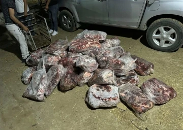 İncirliova’da 1 ton domuz eti ele geçirildi
