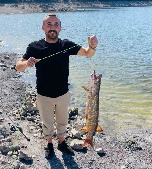 İnegöl’de balıkçının oltasına 7 kiloluk turna takıldı
