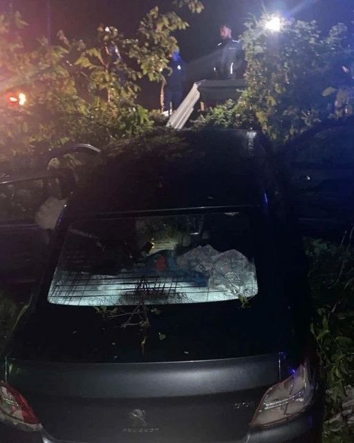 İneg&ouml;l&rsquo;de otomobil tarlaya u&ccedil;tu: 4 yaralı

