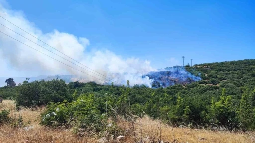 İnegöl’deki orman yangını kontrol altına alındı
