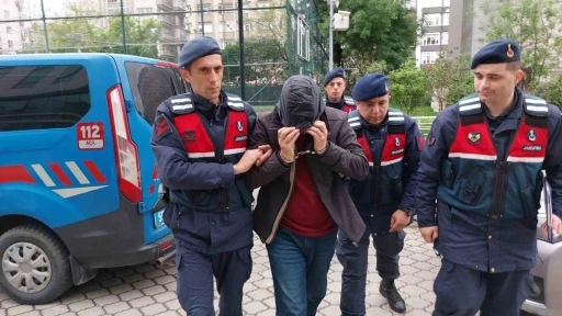 İnternetten izleyip 5. kattaki evini uyuşturucu tarlasına çevirdi
